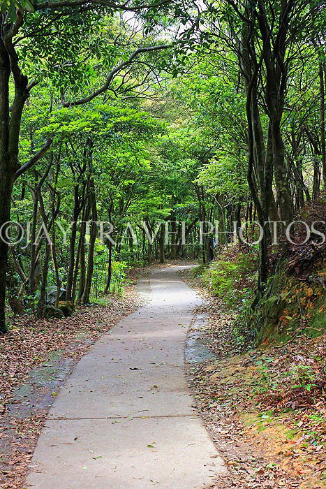 HONG KONG, Lantau Island, Po Lin Monastery site, walking paths, HK868JPL
