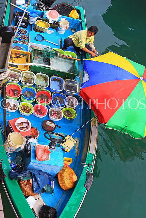 HONG KONG, Sai Kung, waterfront, boats selling live seafood, HK1441JPL
