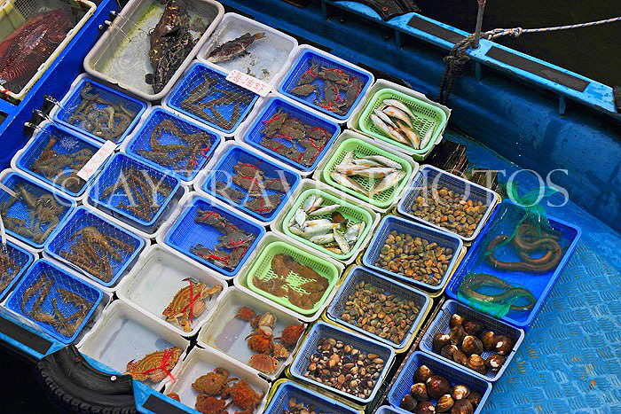 HONG KONG, Sai Kung, waterfront, boats selling live seafood, HK1458JPL