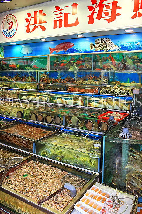 HONG KONG, Sai Kung, waterfront, seafood restaurants, live seafood on display, HK1424JPL
