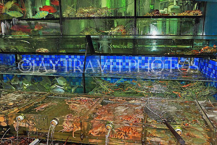 HONG KONG, Sai Kung, waterfront, seafood restaurants, live seafood on display, HK1429JPL