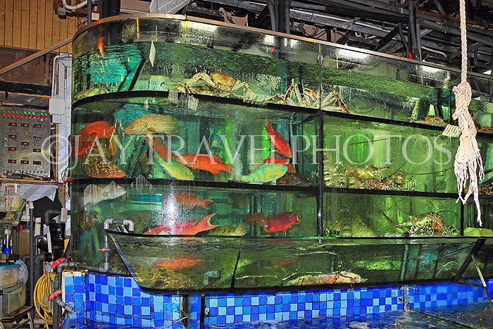 HONG KONG, Sai Kung, waterfront, seafood restaurants, live seafood on display, HK1430JPL