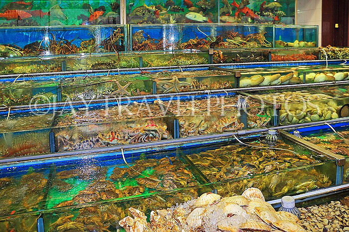 HONG KONG, Sai Kung, waterfront, seafood restaurants, live seafood on display, HK1431JPL