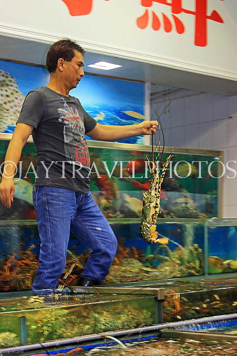 HONG KONG, Sai Kung, waterfront, seafood restaurants, vendor with live crayfish, HK1421JPL