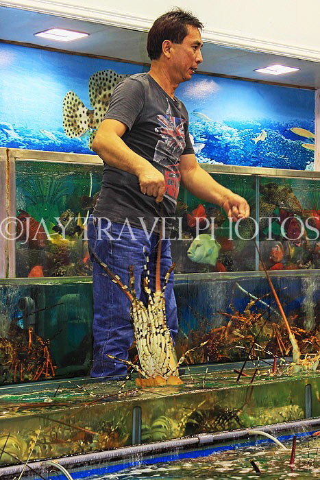 HONG KONG, Sai Kung, waterfront, seafood restaurants, vendor with live crayfish, HK1422JPL