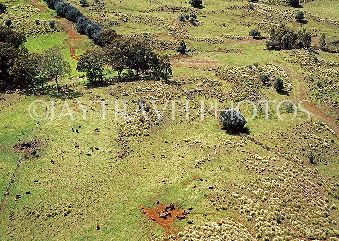 Hawaiian Islands, HAWAII (Big Island), Parker Ranch, aerial view, HAW377JPL