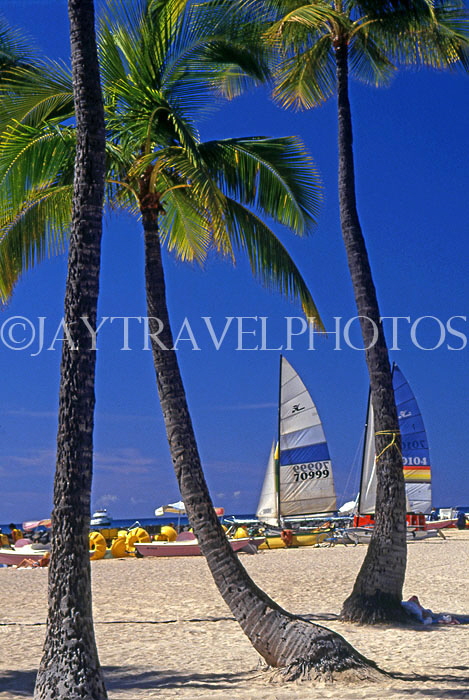 Hawaiian Islands, OAHU, Waikiki Beach, coconut palms and sailboats, HAW305JPL