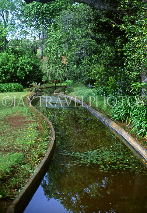 MADEIRA, Funchal, Quinta Palheiro Gardens (Blandy Gardens), MAD1173JPL