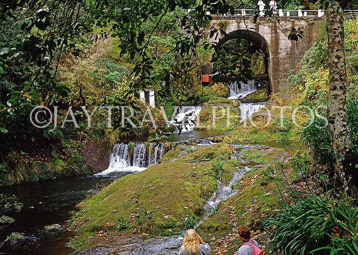 MADEIRA, Ribeiro Frio (cold river), MAD1002JPL