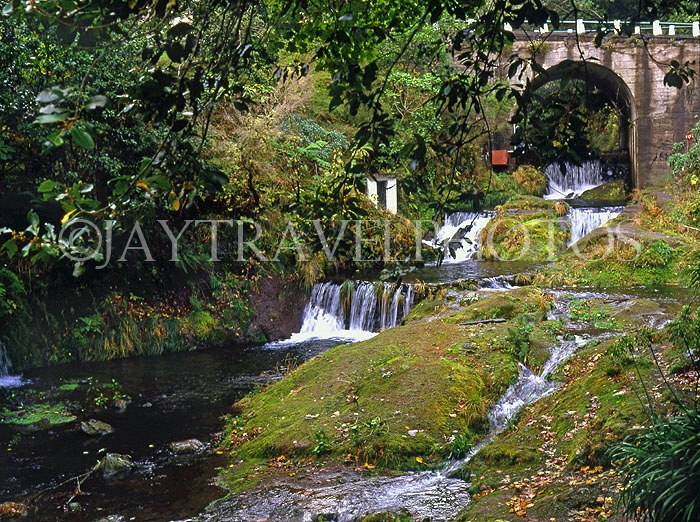 MADEIRA, Ribeiro Frio (cold river), MAD1180JPL