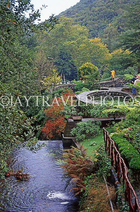MADEIRA, Ribeiro Frio (cold river), Trout Hatchery, MAD226JPL