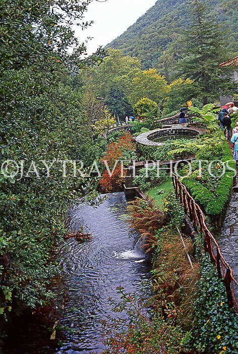 MADEIRA, Ribeiro Frio (cold river), Trout Hatchery, MAD236JPL