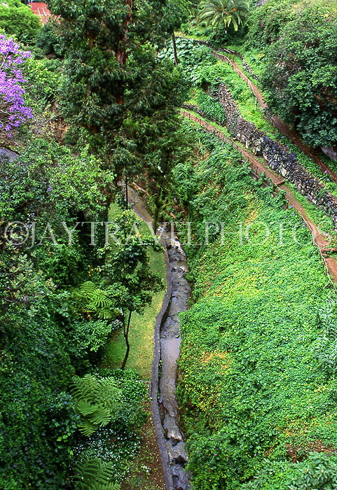 MADEIRA, Ribeiro Frio (cold river), walking paths and levada, MAD1176JPL