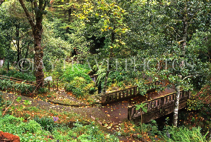 MADEIRA, Ribeiro Frio (cold river), walking pathways, MAD1103JPL