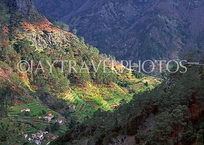 MADEIRA, Serra D'Agua, terraced farmed land and small village, MAD1130JPL