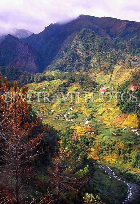 MADEIRA, countryside and gorge, with cultivated land, MAD1072JPL