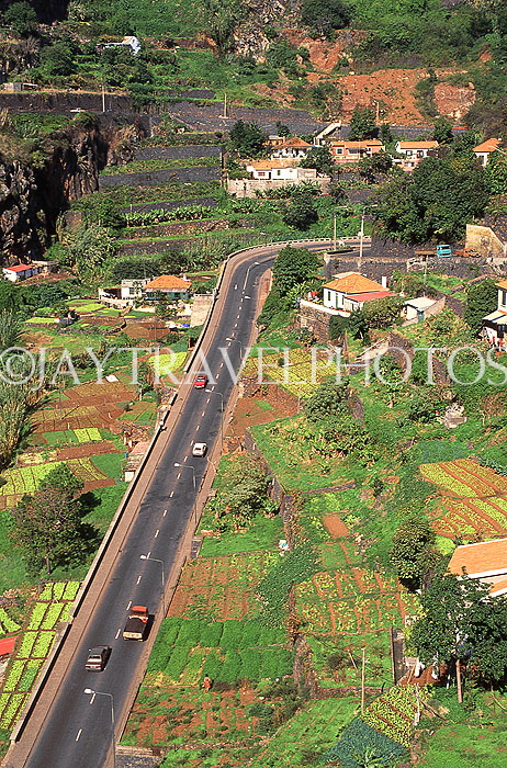 MADEIRA, road through farmed land, MAD1065JPL