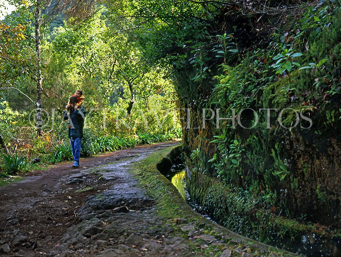 MADEIRA, walking paths and levada, MAD145JPL