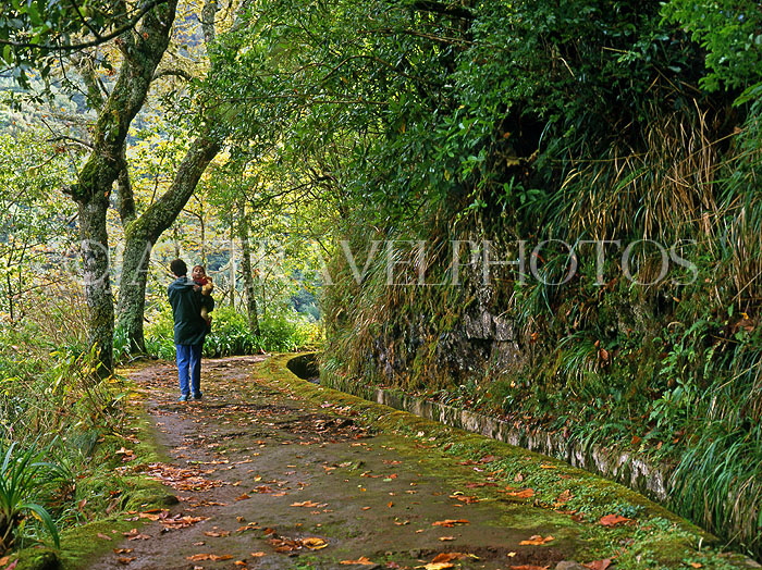 MADEIRA, walking paths and levada walking, MAD201JPL