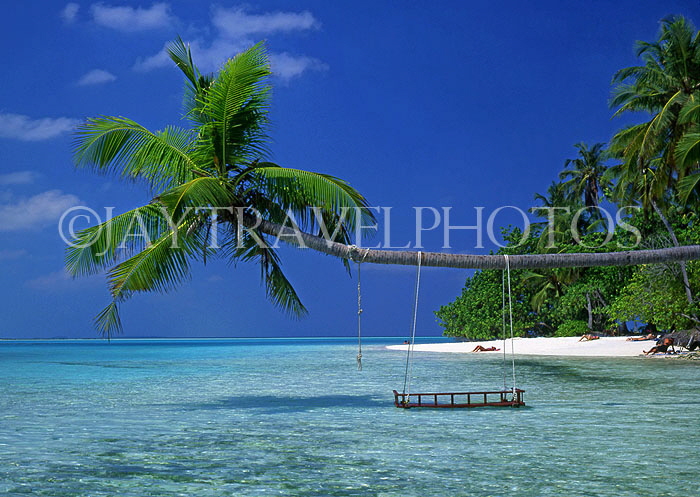 MALDIVE ISLANDS, Meeru Island, seascape with leaning coconut tree, MAL114JPL