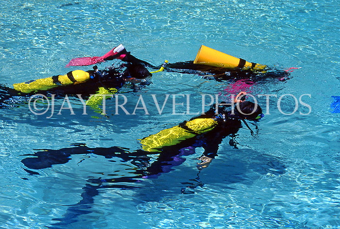 MALDIVE ISLANDS, scuba divers in shalow water, MAL79JPL