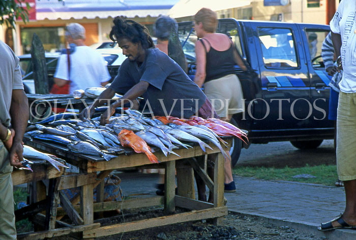 MAURITIUS, North Coast, Grand Bay Fish Market, Red Snapper, MRU390JPL