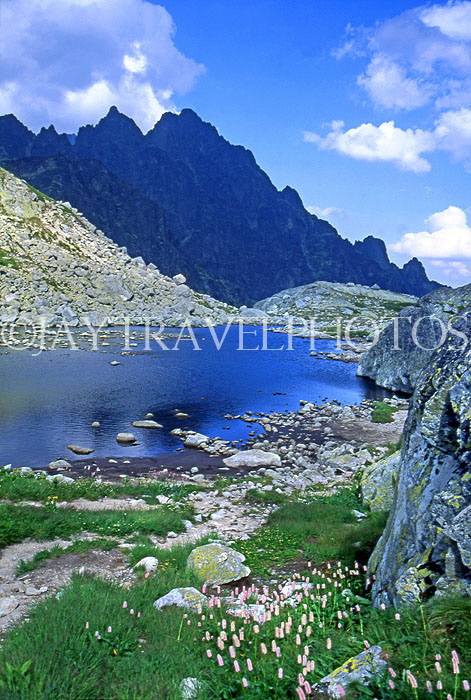 SLOVAKIA, Tatra Mountains, High Tatra Nat Park, Velka Studena Valley, SLV56JPL