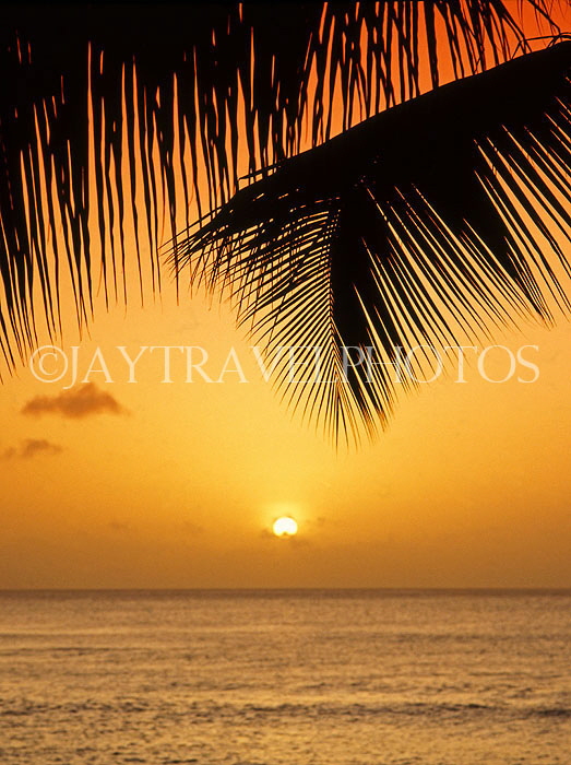 ST LUCIA, Choc Beach, sunset and cocont tree branch, STL747JPL