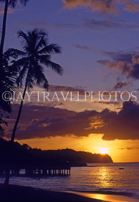 ST LUCIA, sunset and coconut tree, west coast, STL701JPL