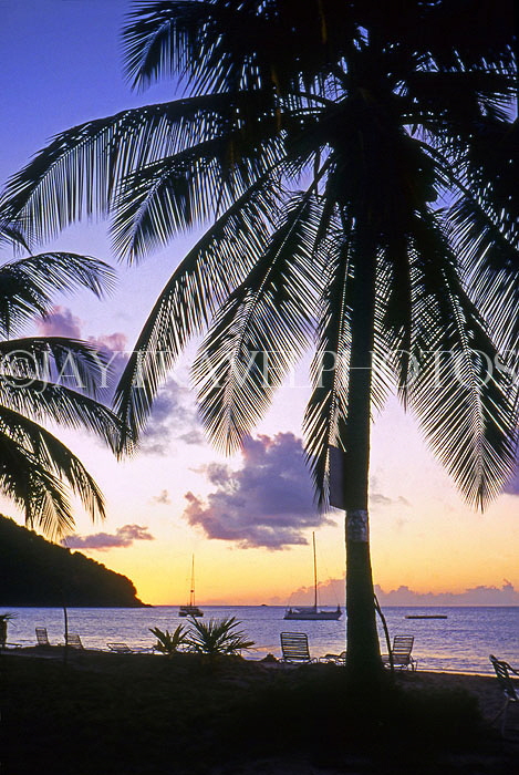 ST LUCIA, sunset and coconut trees, STL721JPL