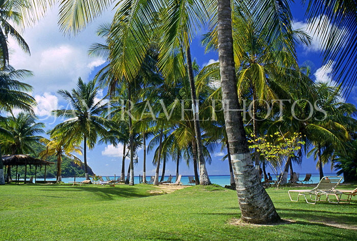 ST LUCIA, west coast view, through coconut trees, STL723JPL