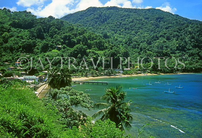TOBAGO, Charlotteville Bay, CAR1164JPL