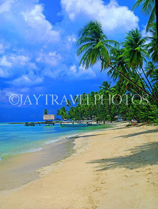 TOBAGO, Pigeon Point Beach, TOB206JPL