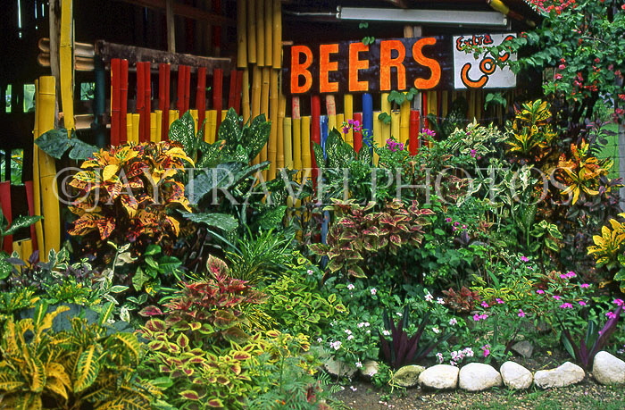TOBAGO, bar with beers sign, and tropical plants, CAR946JPL