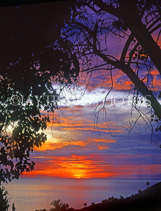 TOBAGO, coast and sunset, CAR1346JPL