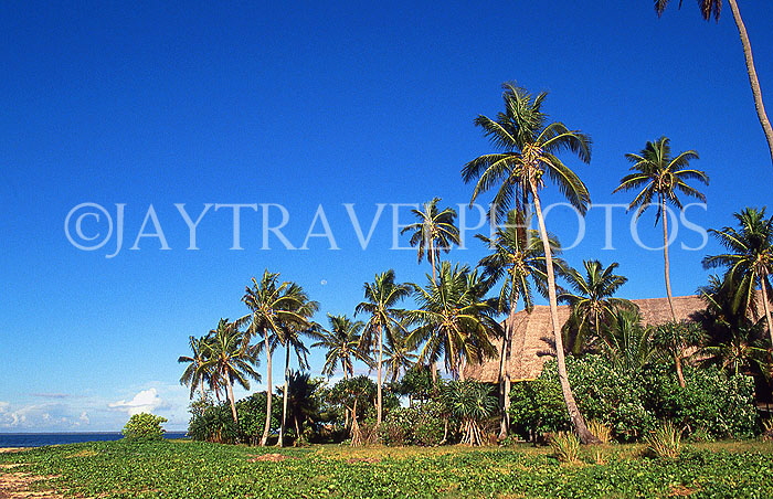 TONGA, Atata Island, coast view, and coconut trees, TON170JPL