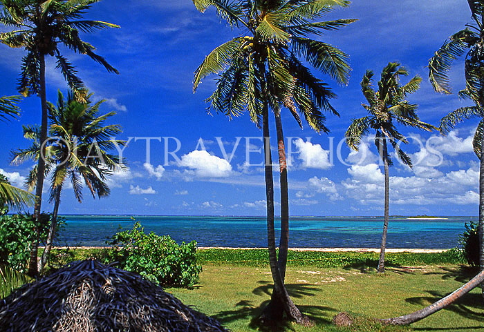 TONGA, Atata Island, coast view, with coconut trees, TON177JPL