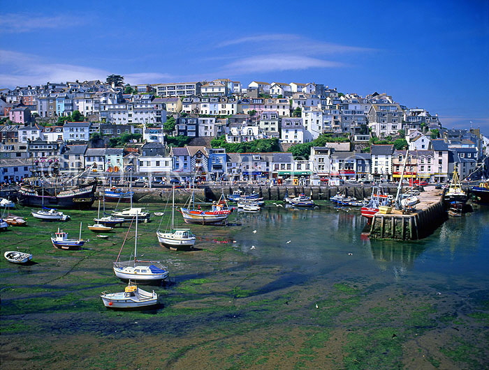 UK, Devon, BRIXHAM, town centre and fishing harbour, tide out, DEV383JPL