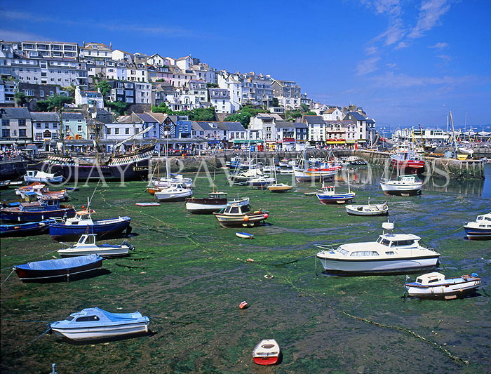 UK, Devon, BRIXHAM, town centre and fishing harbour, tide out, DEV385JPL