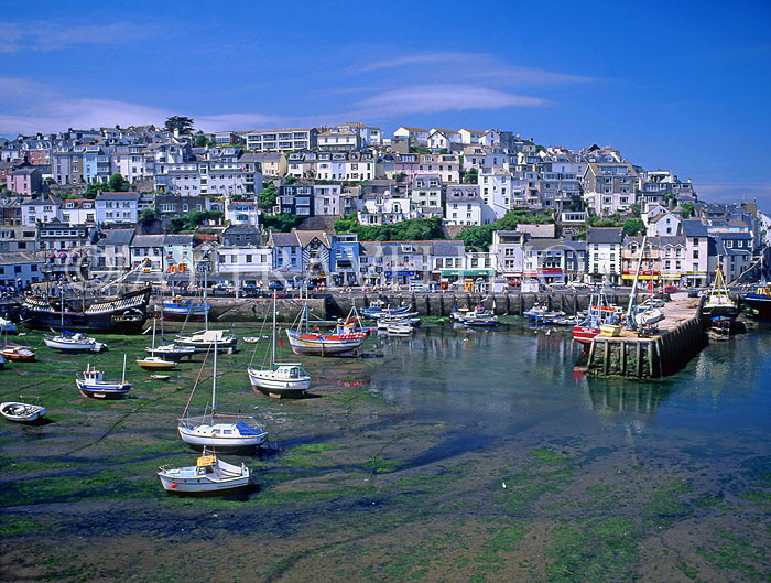 UK, Devon, BRIXHAM, town centre and fishing harbour, tide out, DEV389JPL