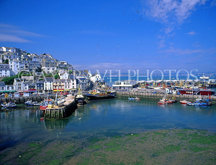 UK, Devon, BRIXHAM, town centre and harbourfront, DEV386JPL