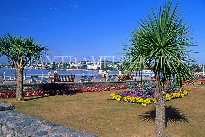UK, Devon, TORQUAY, promenade Torbay Palms, DEV475JPL