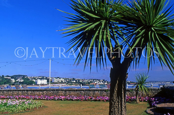 UK, Devon, TORQUAY, promenade Torbay Palms, DEV476JPL