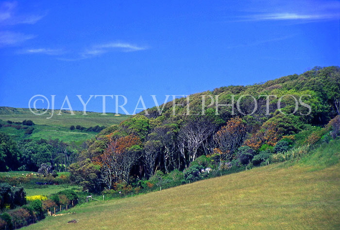 UK, Dorset, countryside view, by Chesil Beach, UK4217JPL