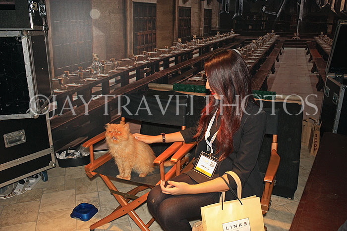 UK, LONDON, ExCel Centre, World Travel Market show, UK31152JPL