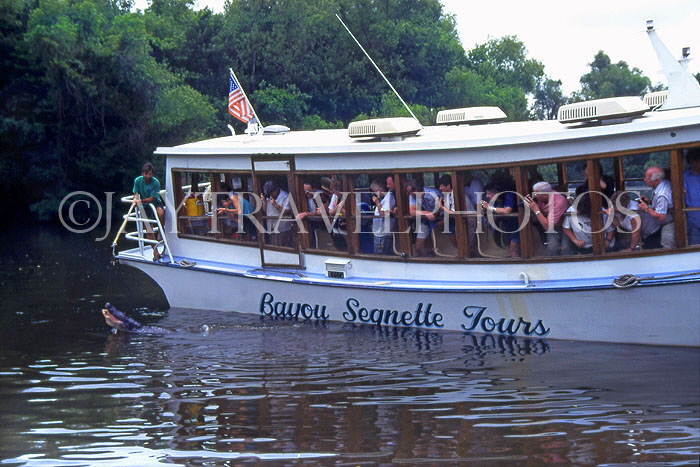 USA, Louisiana, (near New Orleans), Swamp Boat Tour, tourists watching alligater being fed, LOU291JPL