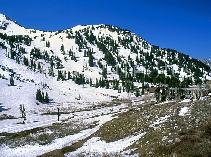 USA, Utah, WASATCH MOUNTAINS, Little Cottonwood Canyon, Alta Ski Resort, UTH469JPL